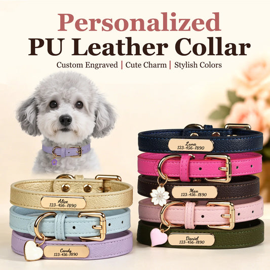 Luna Luxe Personalized Pet Collar