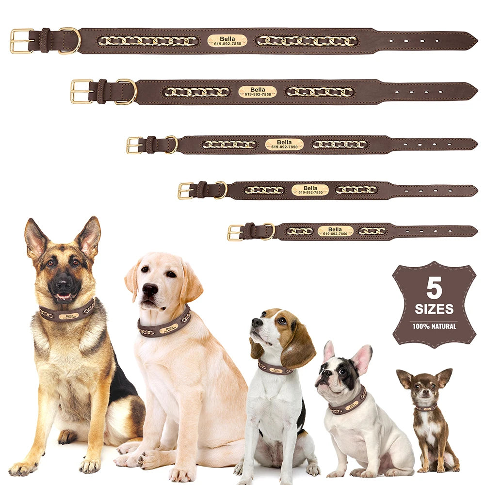 Dynasty Personalized Chain Collar