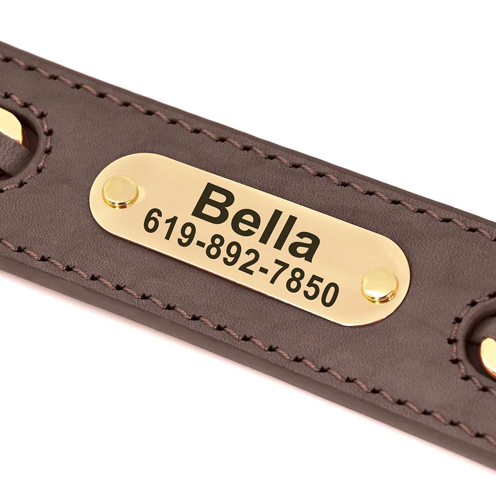 Dynasty Personalized Chain Collar