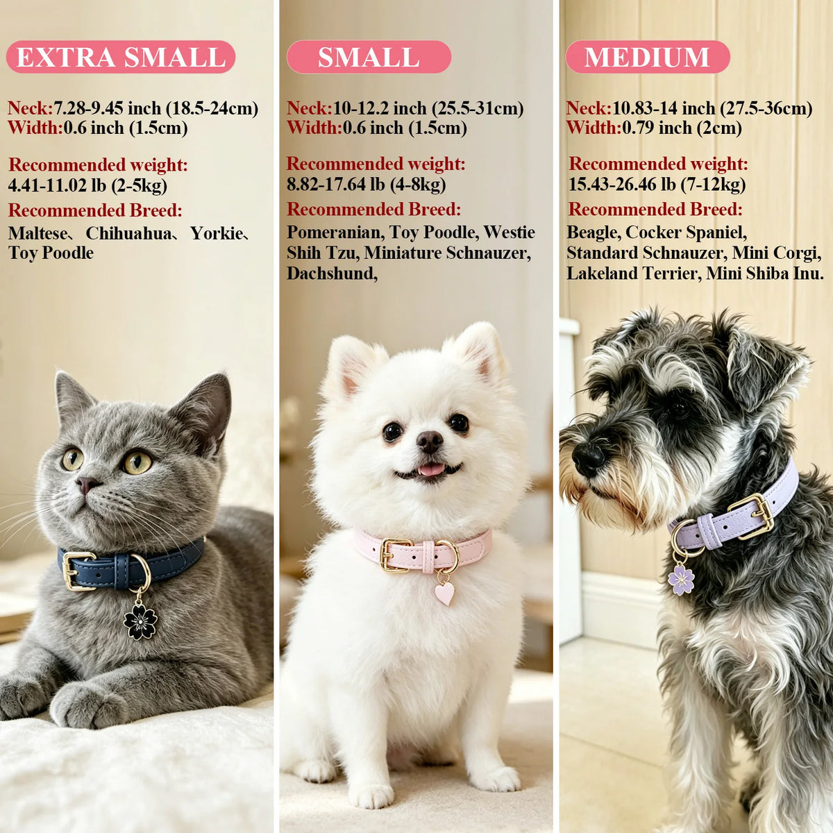 Luna Luxe Personalized Pet Collar
