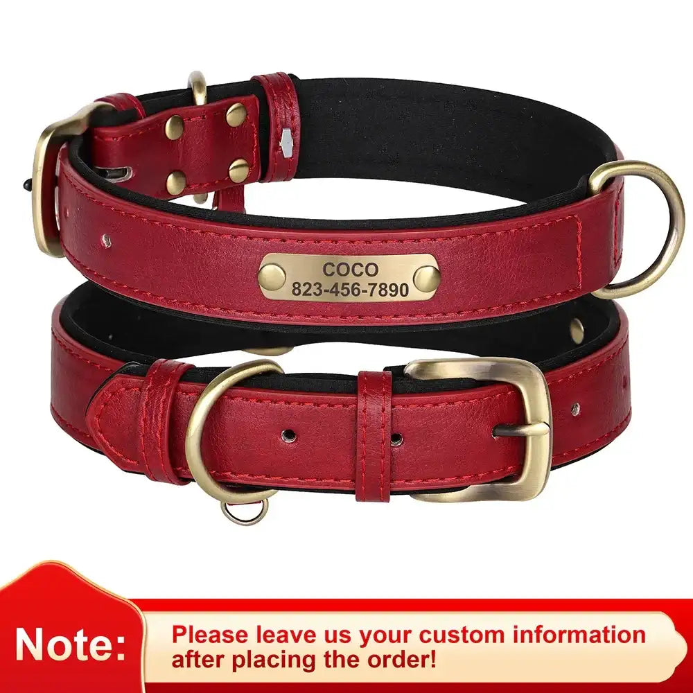 Vibrant Pet Name Tag Collar - PetTagCollars.com