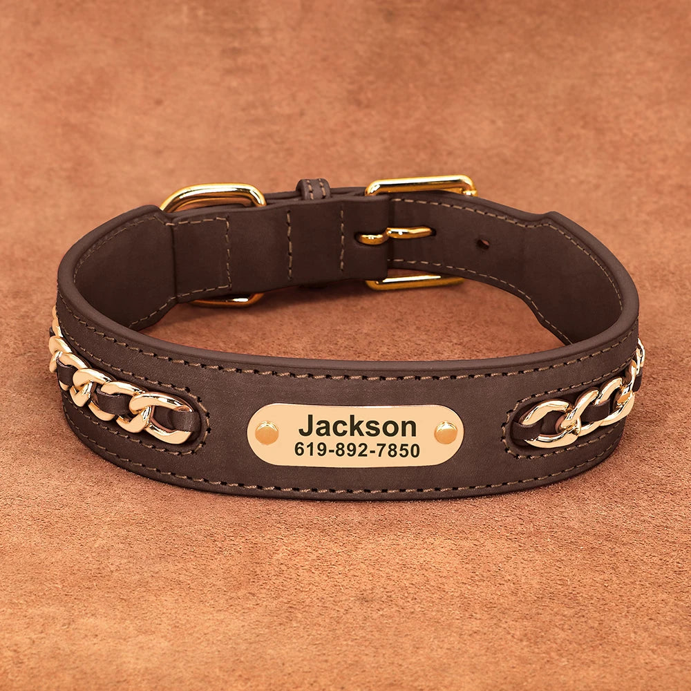 Dynasty Personalized Chain Collar