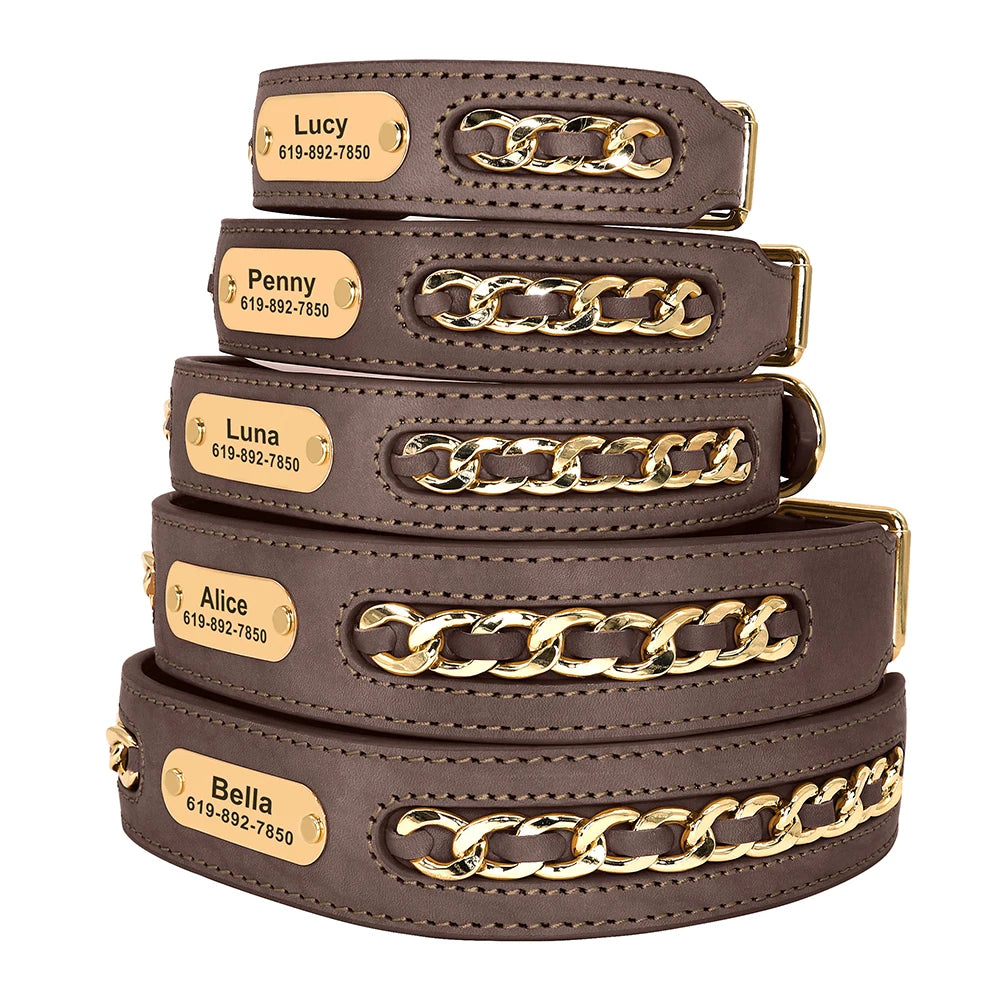 Dynasty Personalized Chain Collar