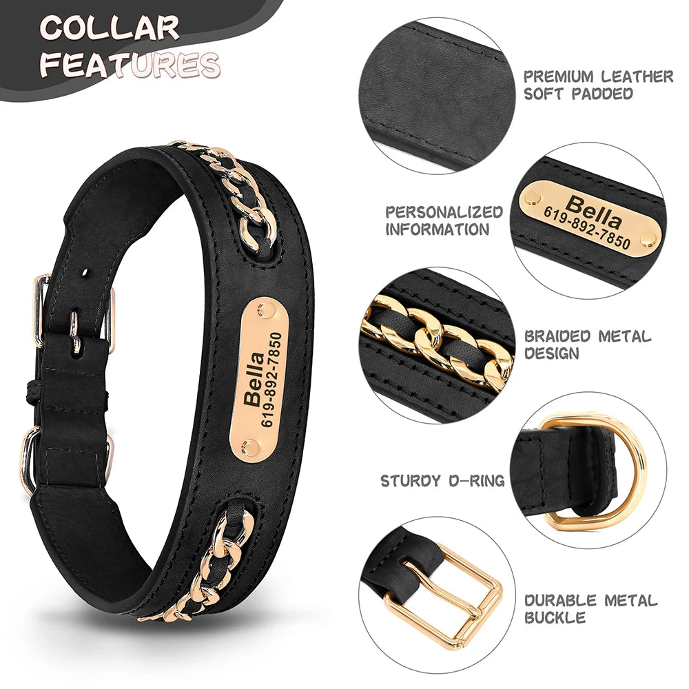 Dynasty Personalized Chain Collar