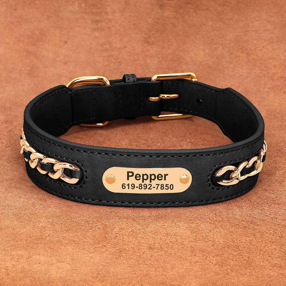 Dynasty Personalized Chain Collar