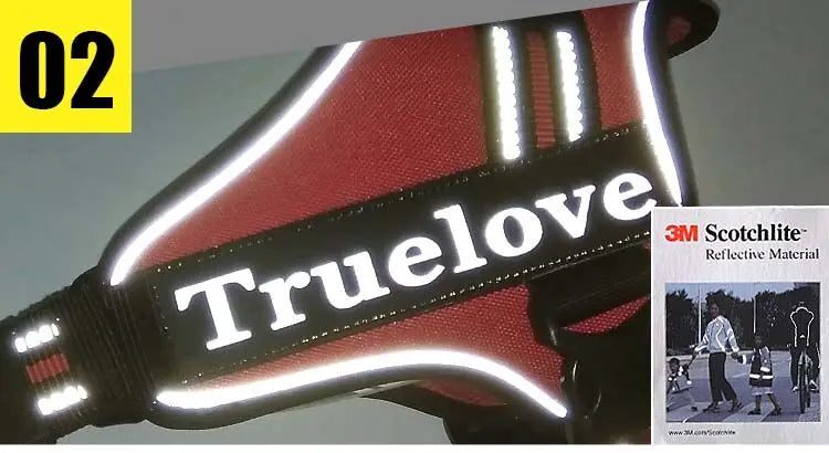 Truelove Luxury Adventure Harness