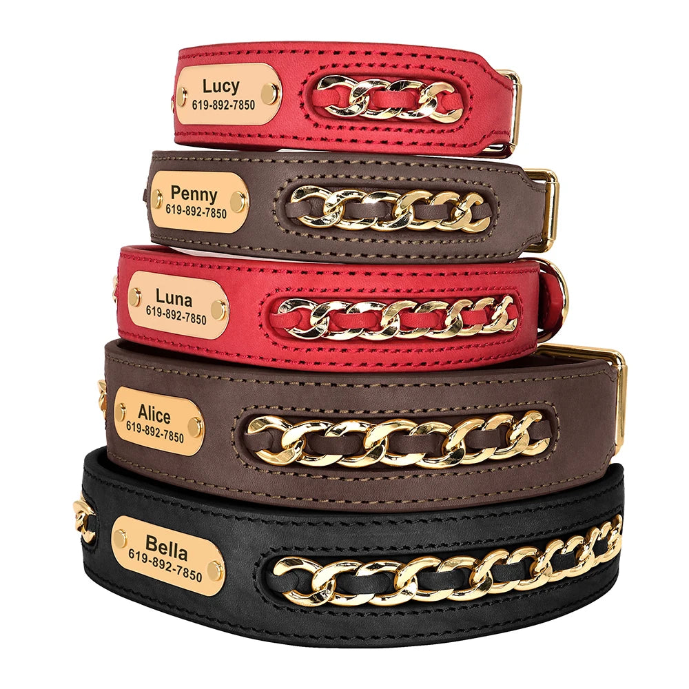 Dynasty Personalized Chain Collar