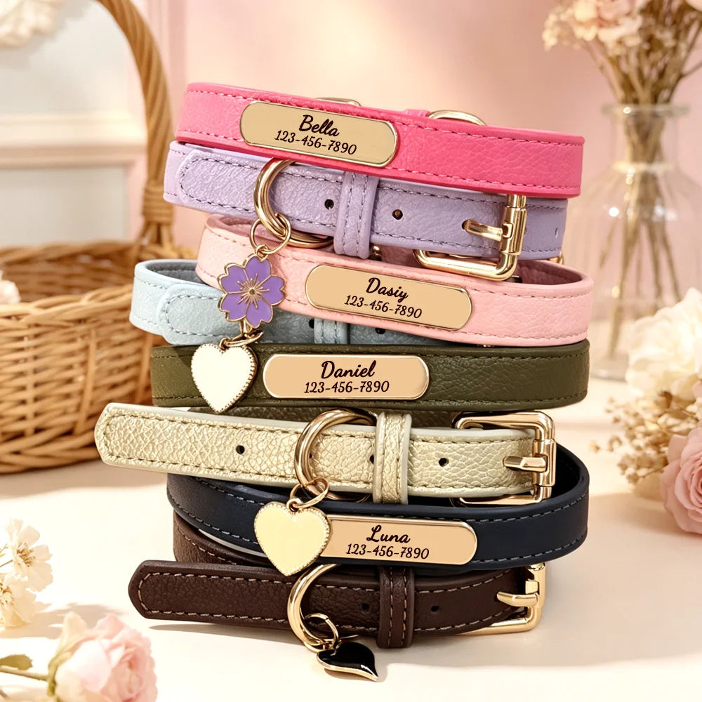 Luna Luxe Personalized Pet Collar
