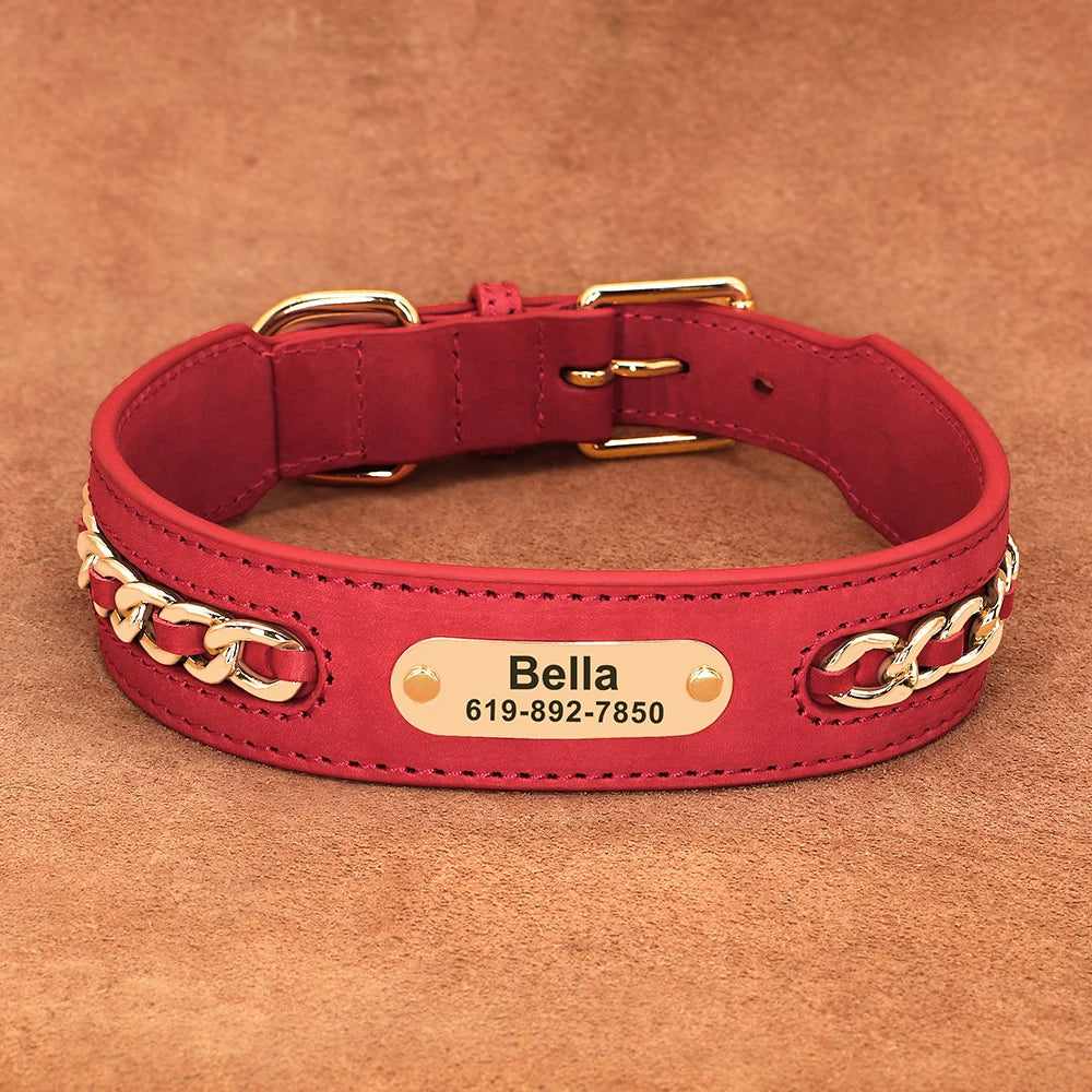 Dynasty Personalized Chain Collar