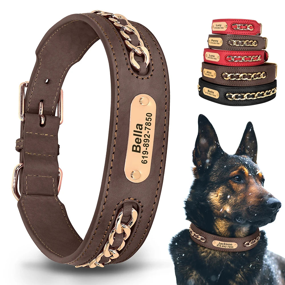 Dynasty Personalized Chain Collar