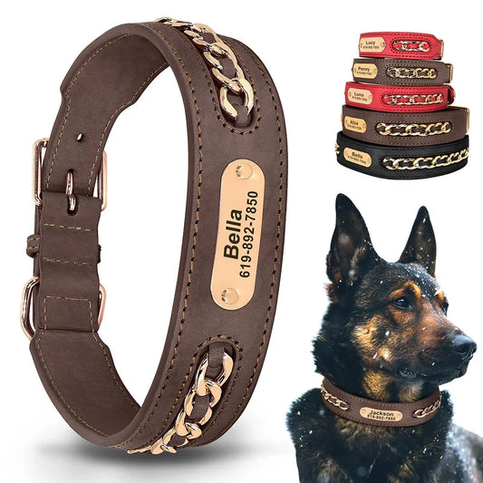Dynasty Personalized Chain Collar - PetTagCollars.com