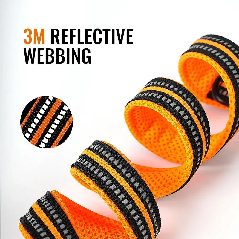 Truelove Multi-Function Reflective Dog Leash - PetTagCollars.com