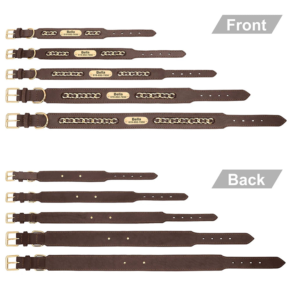 Dynasty Personalized Chain Collar