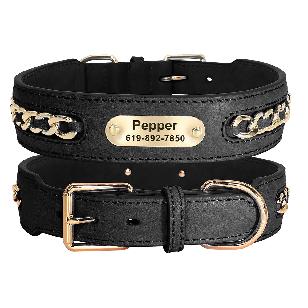 Dynasty Personalized Chain Collar