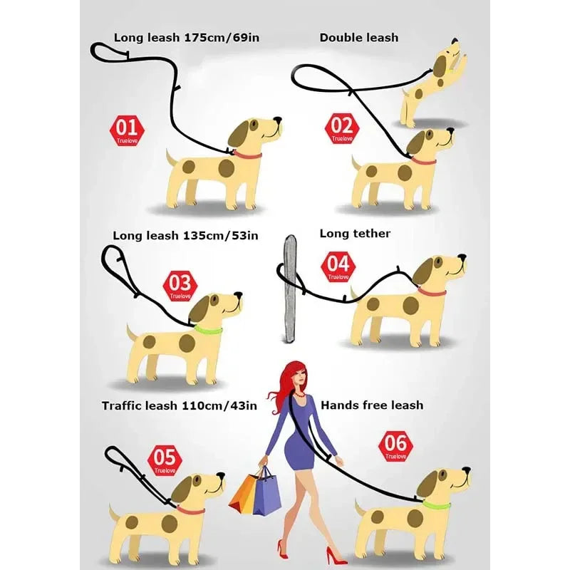 Truelove Multi-Function Reflective Dog Leash - PetTagCollars.com