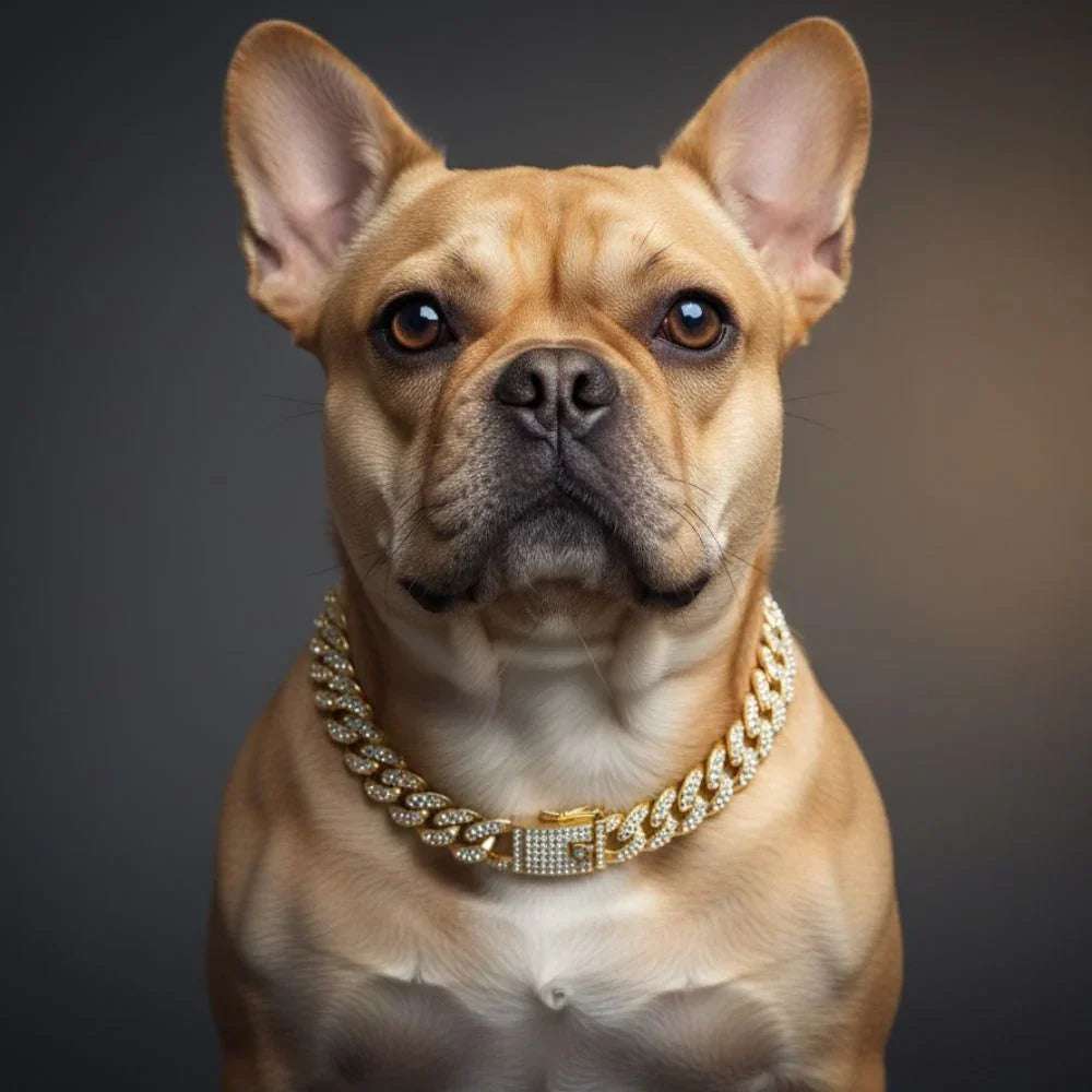 Dazzling Miami Cuban Link Bling Bling Decorative Collar - PetTagCollars.com