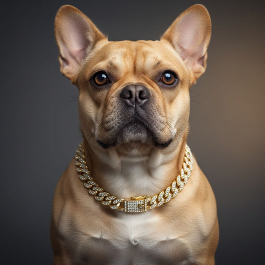 Dazzling Miami Cuban Link Bling Bling Decorative Collar