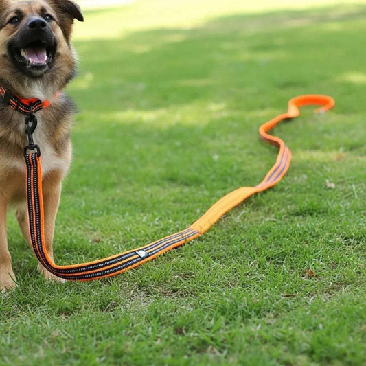6.6" Long Truelove Blaze Reflective Leash - PetTagCollars.com
