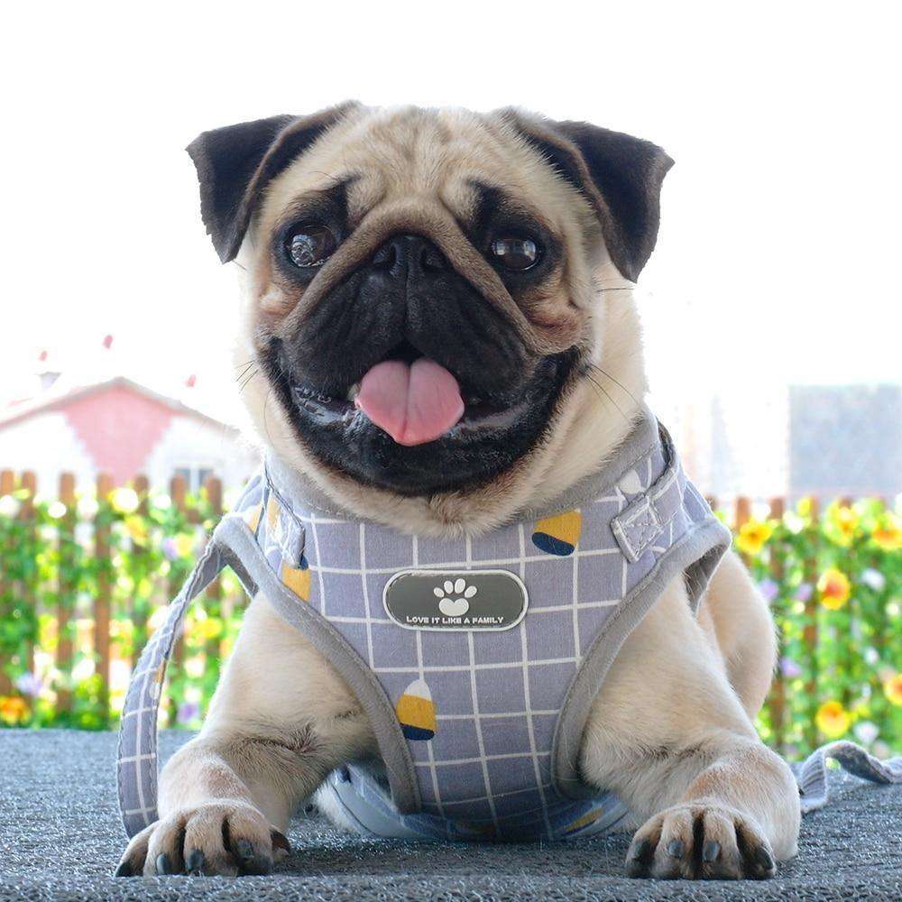 All Season Vest Harness & Leash Combo - PetTagCollars.com