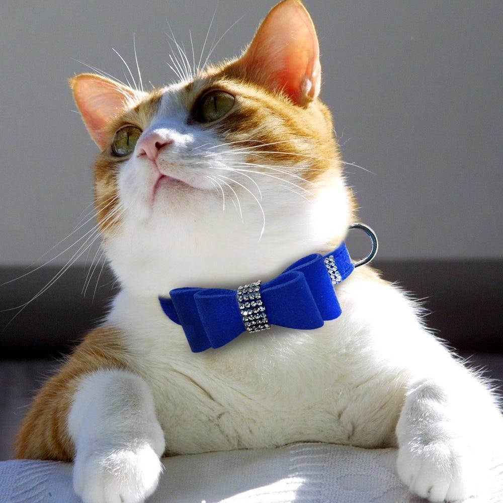 Bling Bling Bowtie Collar FancyPetTags blingbling