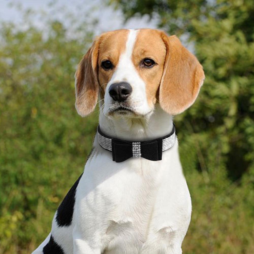 Bling Bling Bowtie Collar FancyPetTags blingbling