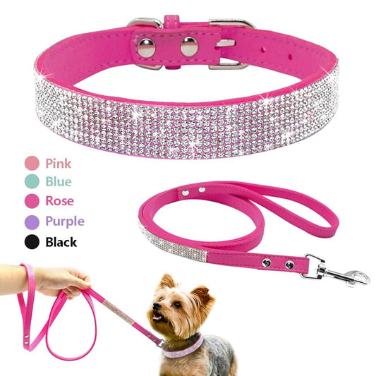 Bling Bling Collar & Leash Combo - 2: FancyPetTags.com