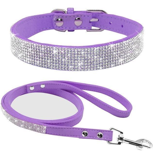 Sparkling Paws Collar & Leash Combo - PetTagCollars.com
