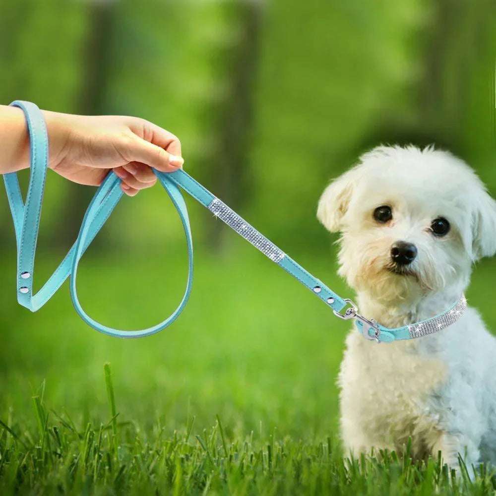 Sparkling Paws Collar & Leash Combo - PetTagCollars.com