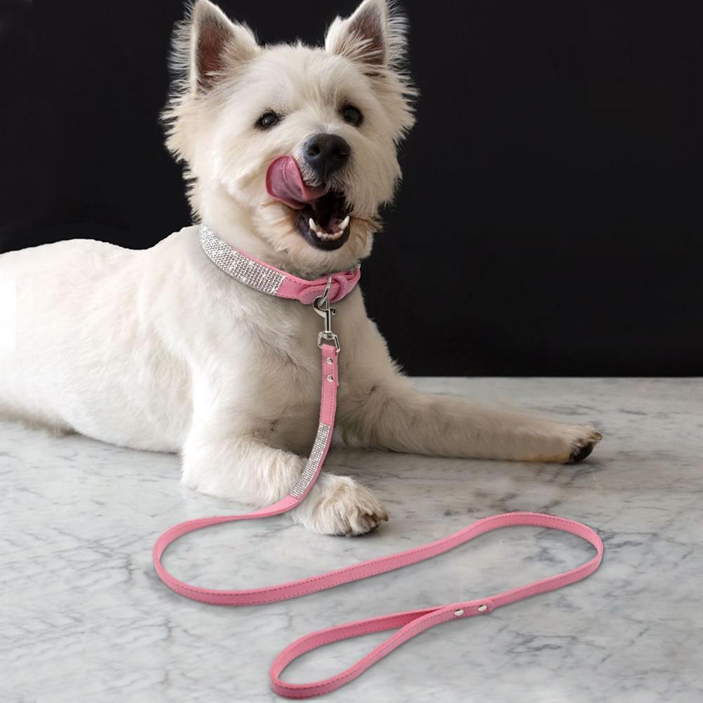 Bling Bling Collar & Leash Combo ALMI