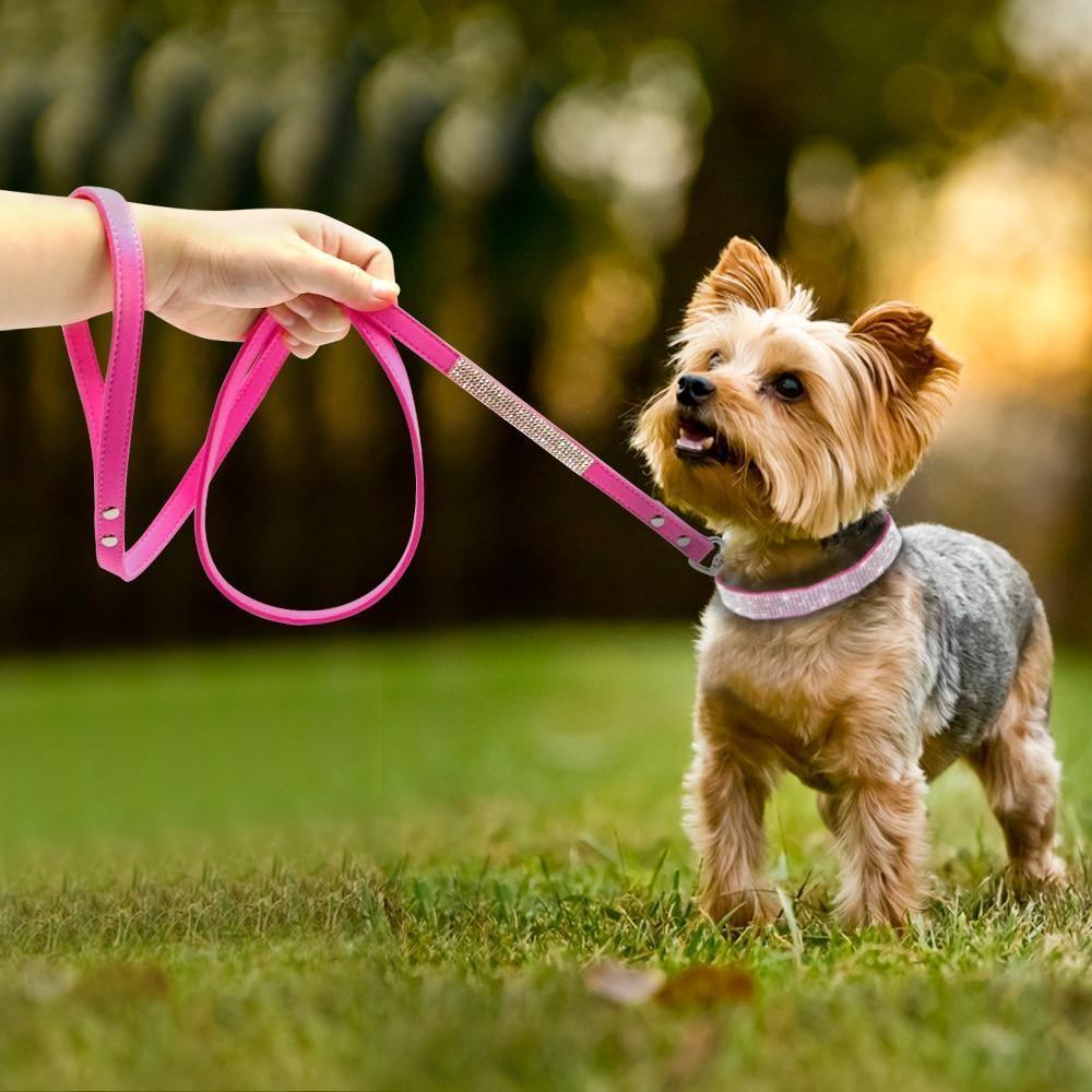 Bling Bling Collar & Leash Combo ALMI