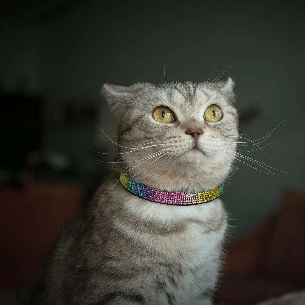 Stunning Bling Bling Leather Collar - PetTagCollars.com