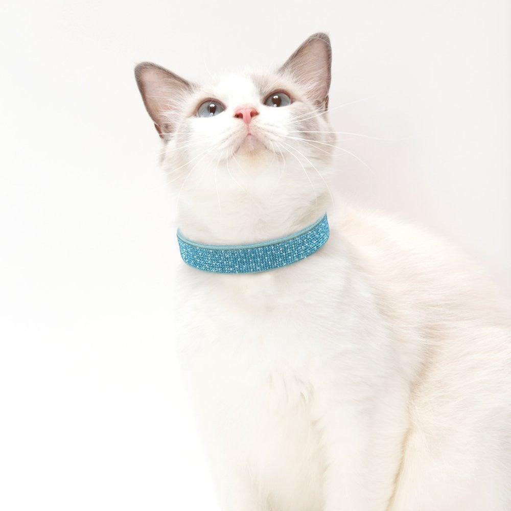 Bling Bling Leather Collar Haoyeer