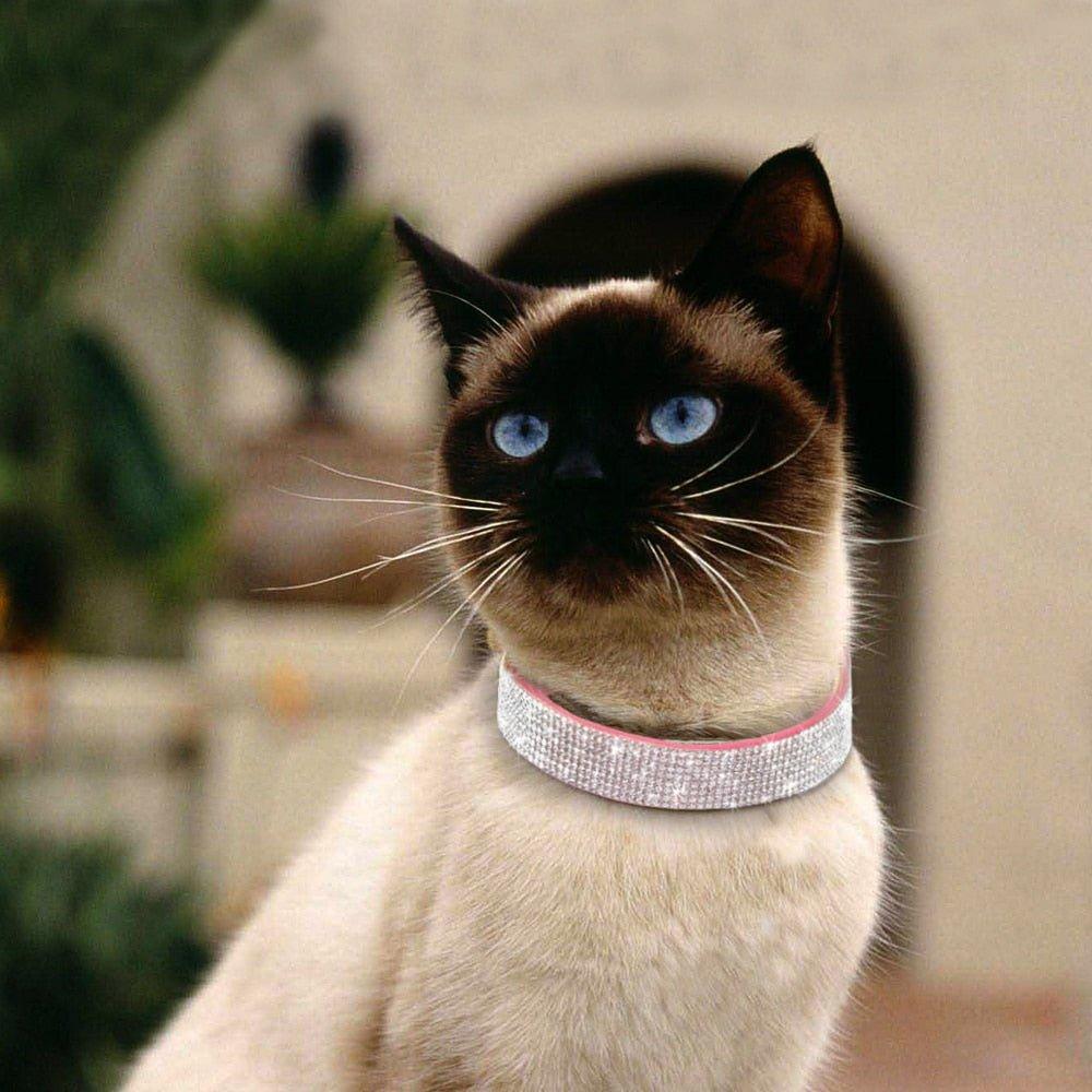 Bling Bling Leather Collar Haoyeer