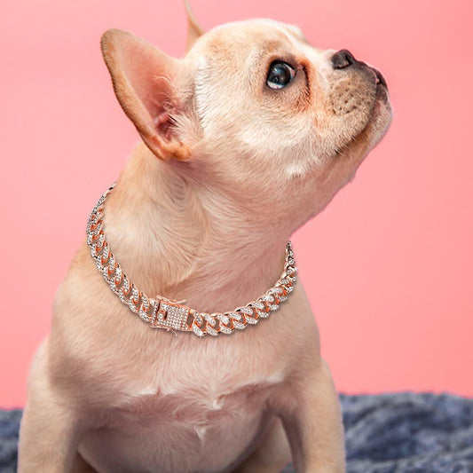 Dazzling Miami Cuban Link Bling Bling Decorative Collar - PetTagCollars.com