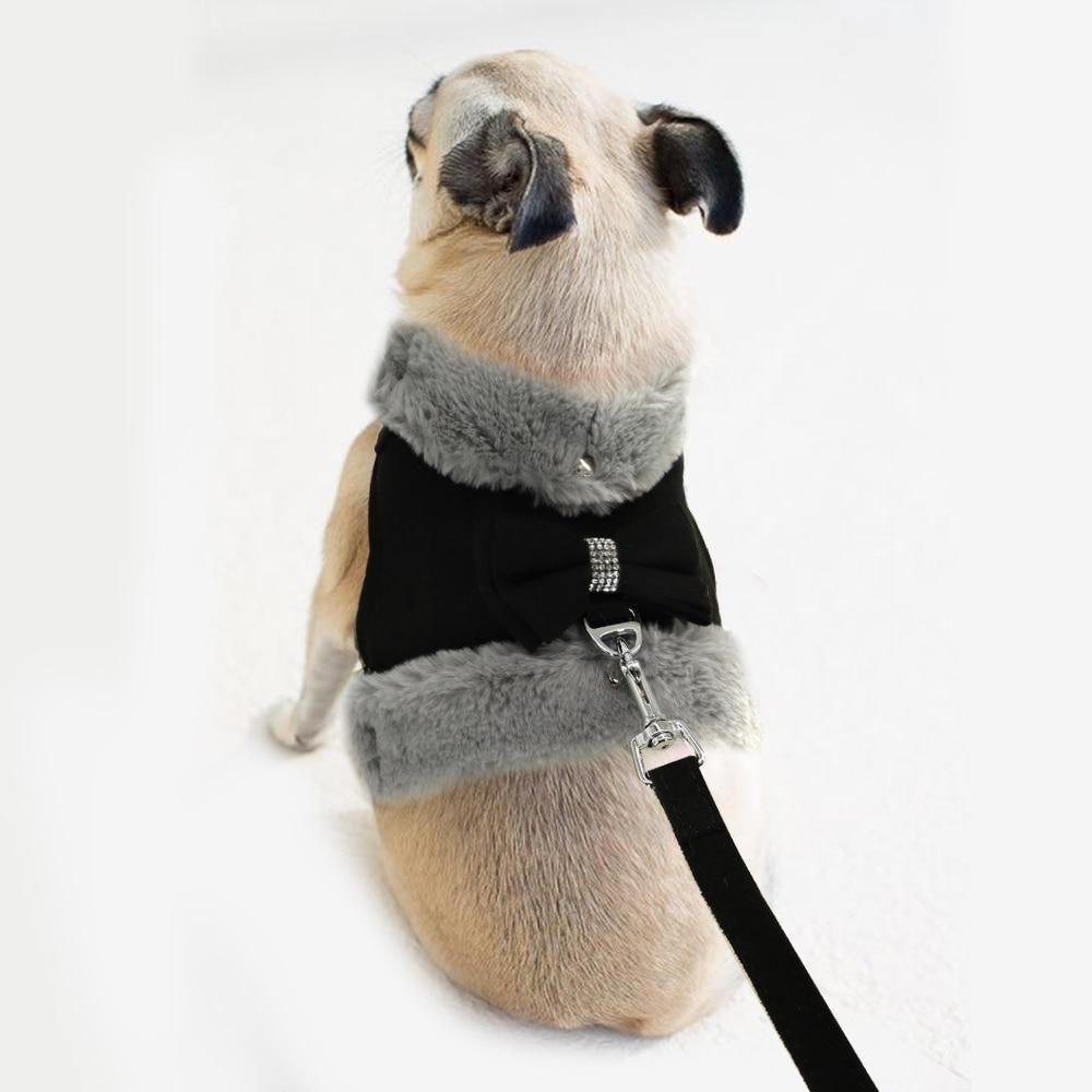 Chic Style Harness Leash Set - 3: FancyPetTags.com