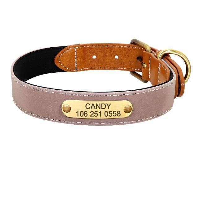 DiDog Elegance Genuine Leather Custom Collar - www.FancyPetTags.com
