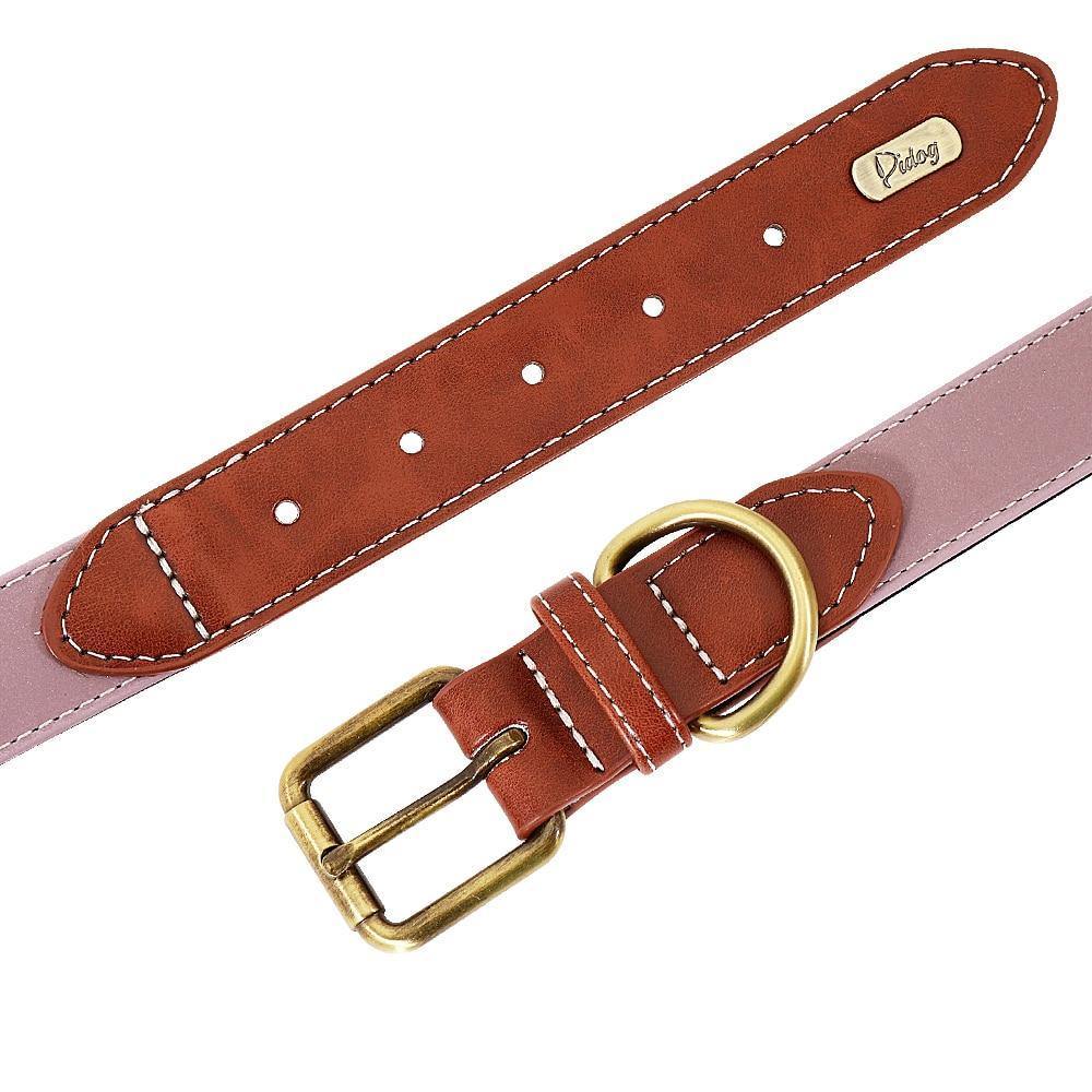 DiDog Elegance Genuine Leather Custom Collar - www.FancyPetTags.com
