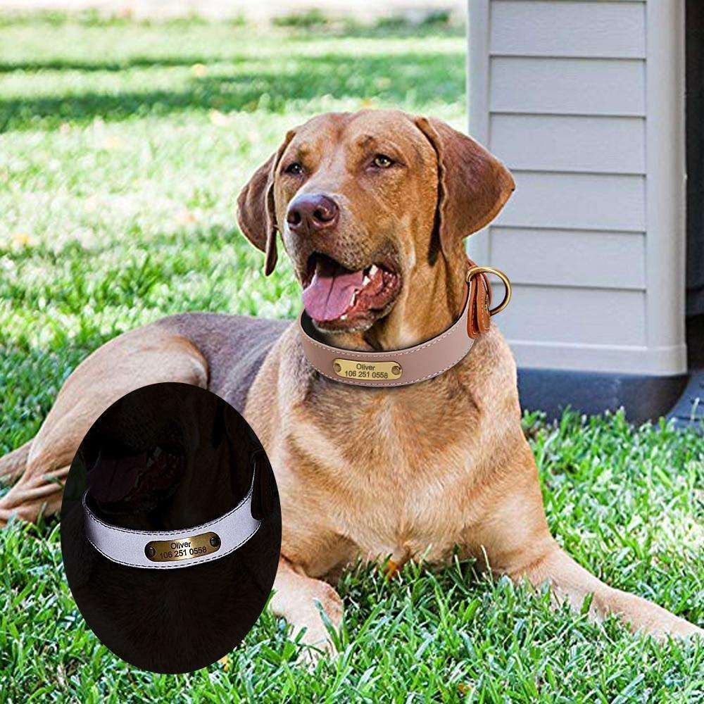 Elegance Reflective Name Tag Leather Collar - PetTagCollars.com