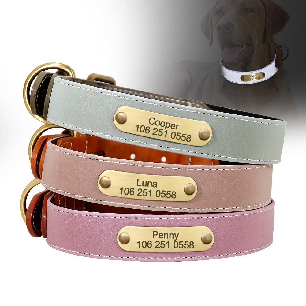 DiDog Elegance Genuine Leather Custom Collar - www.FancyPetTags.com