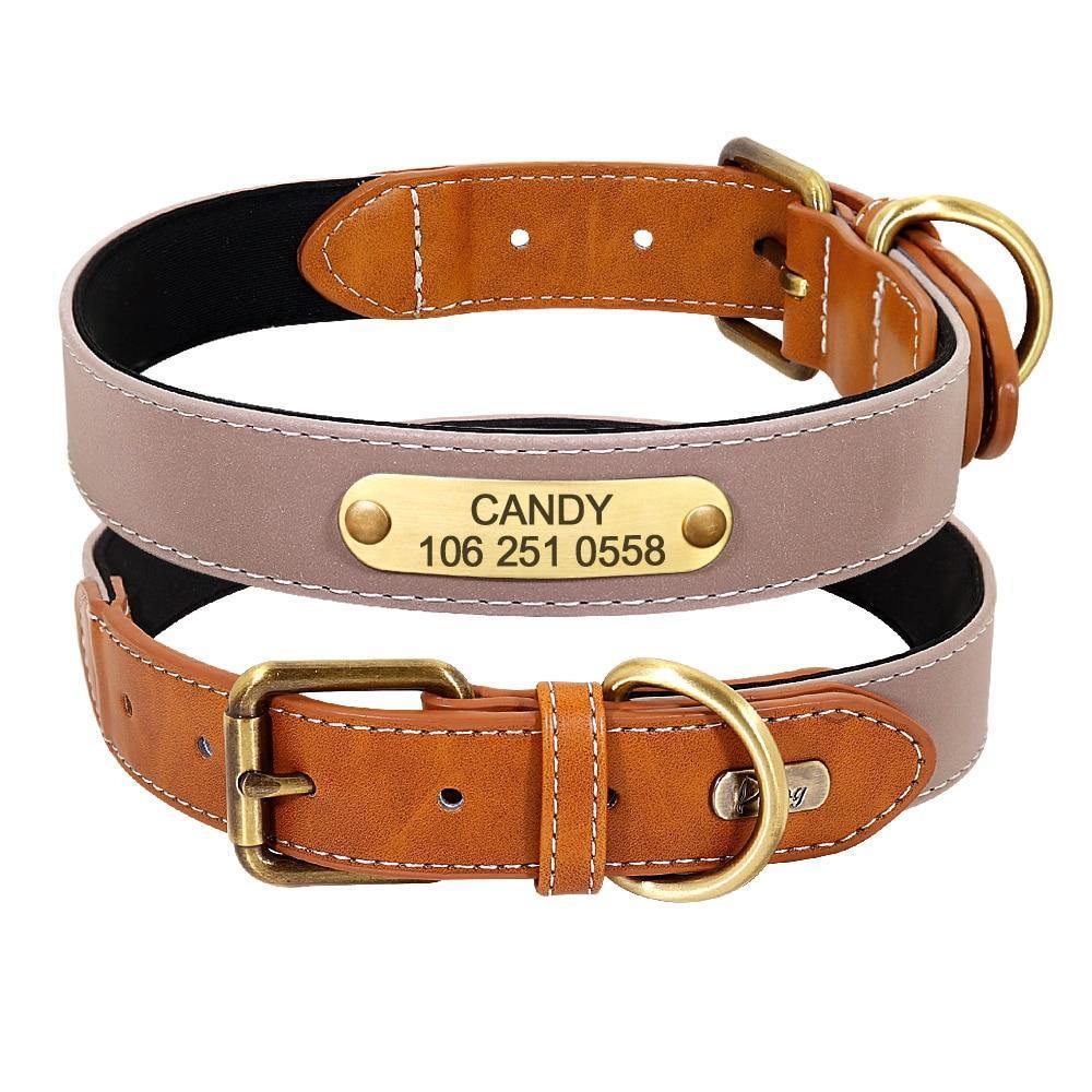 DiDog Elegance Genuine Leather Custom Collar - www.FancyPetTags.com
