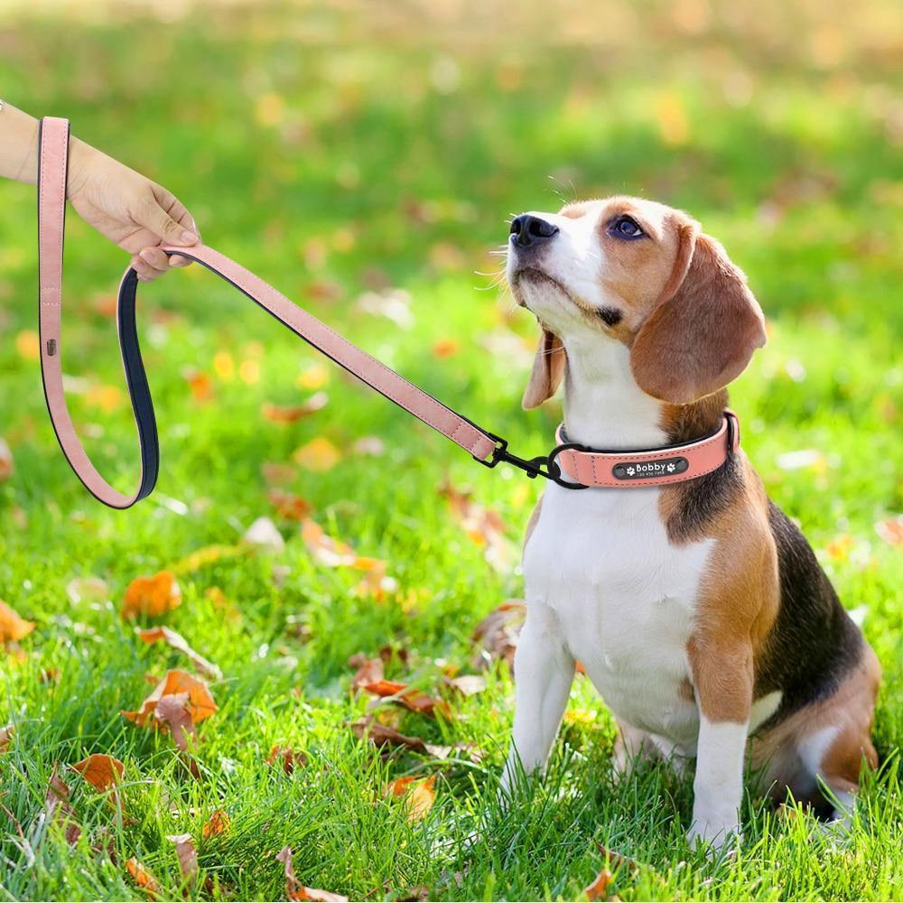 DiDog Genuine Leather Custom Name Tag Pet ID Collar & Leash DiDog