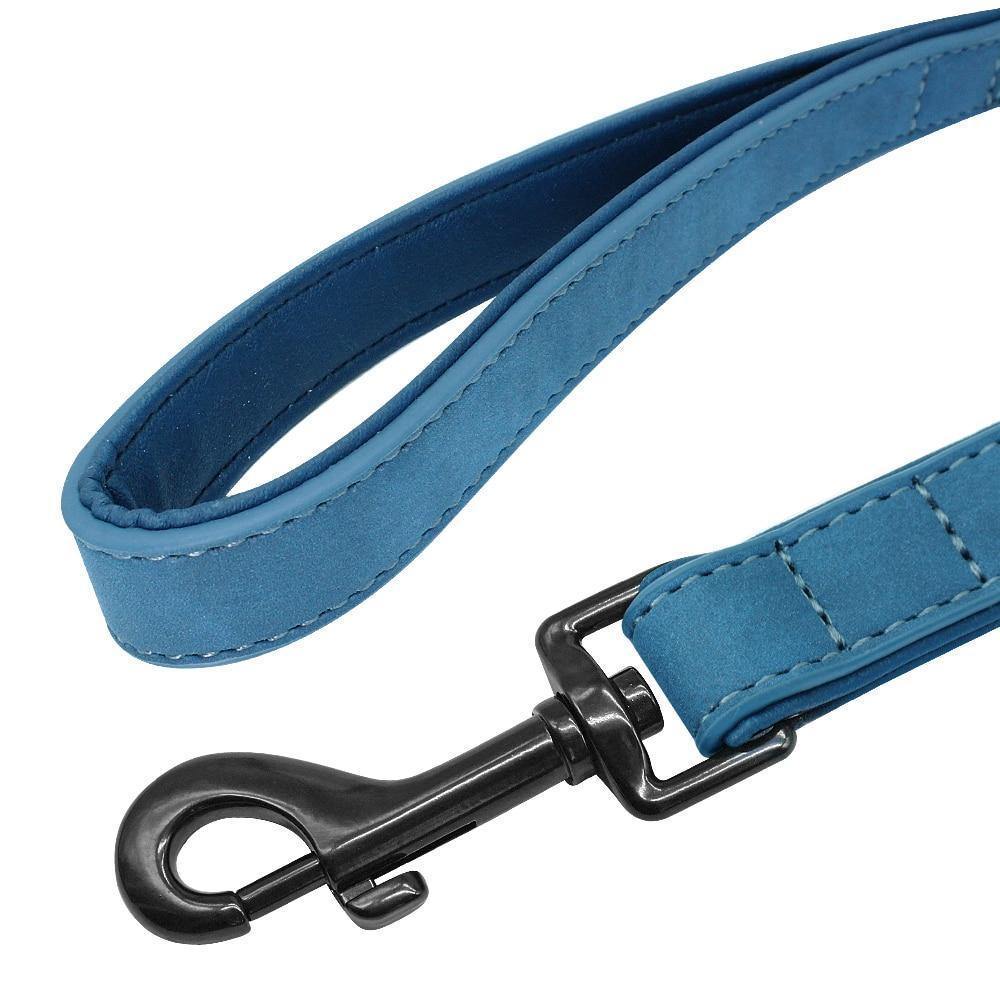 DiDog Genuine Leather Custom Name Tag Pet ID Collar & Leash DiDog