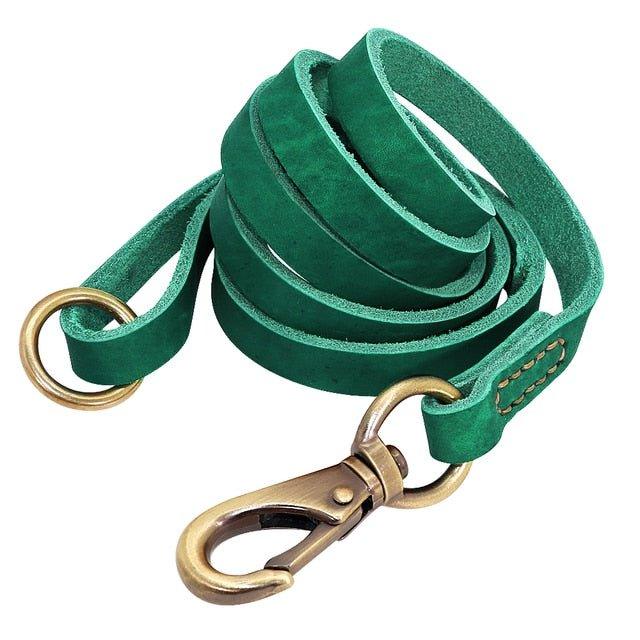 Extra Long Genuine Leather Dog Leash - 14: FancyPetTags.com