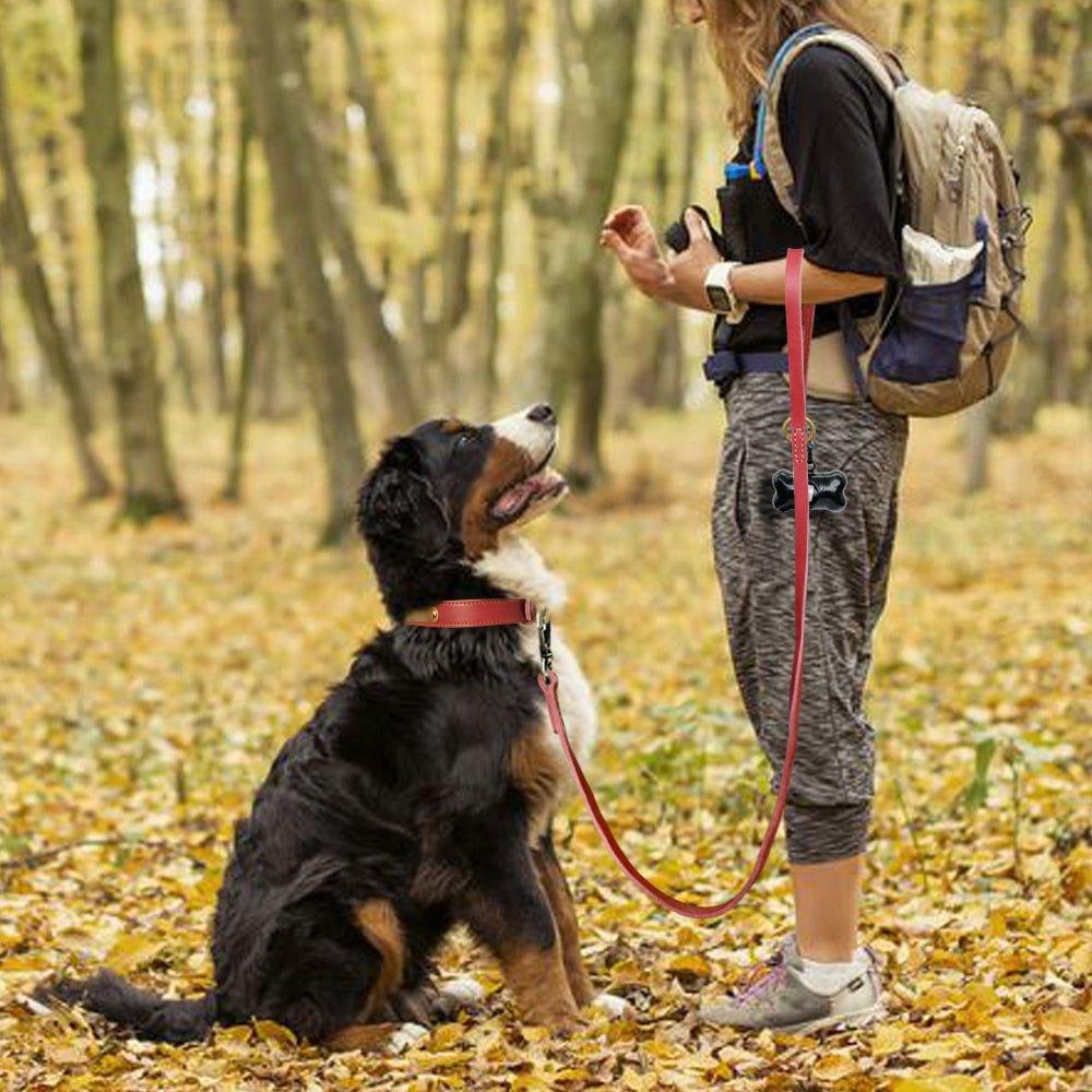 Extra Long Genuine Leather Dog Leash - 4: FancyPetTags.com