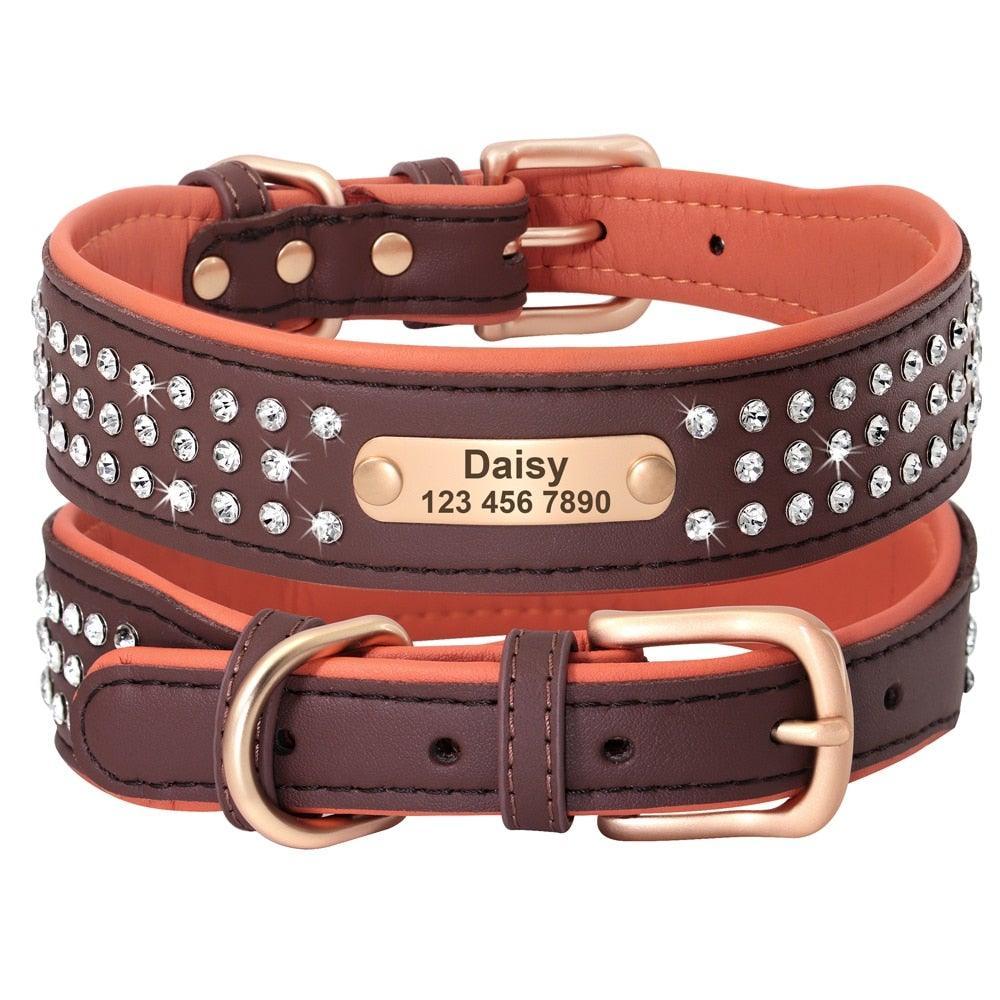 .FPT Concierge Service - Prepared for Strycen - Option 1 - 12: FancyPetTags.com