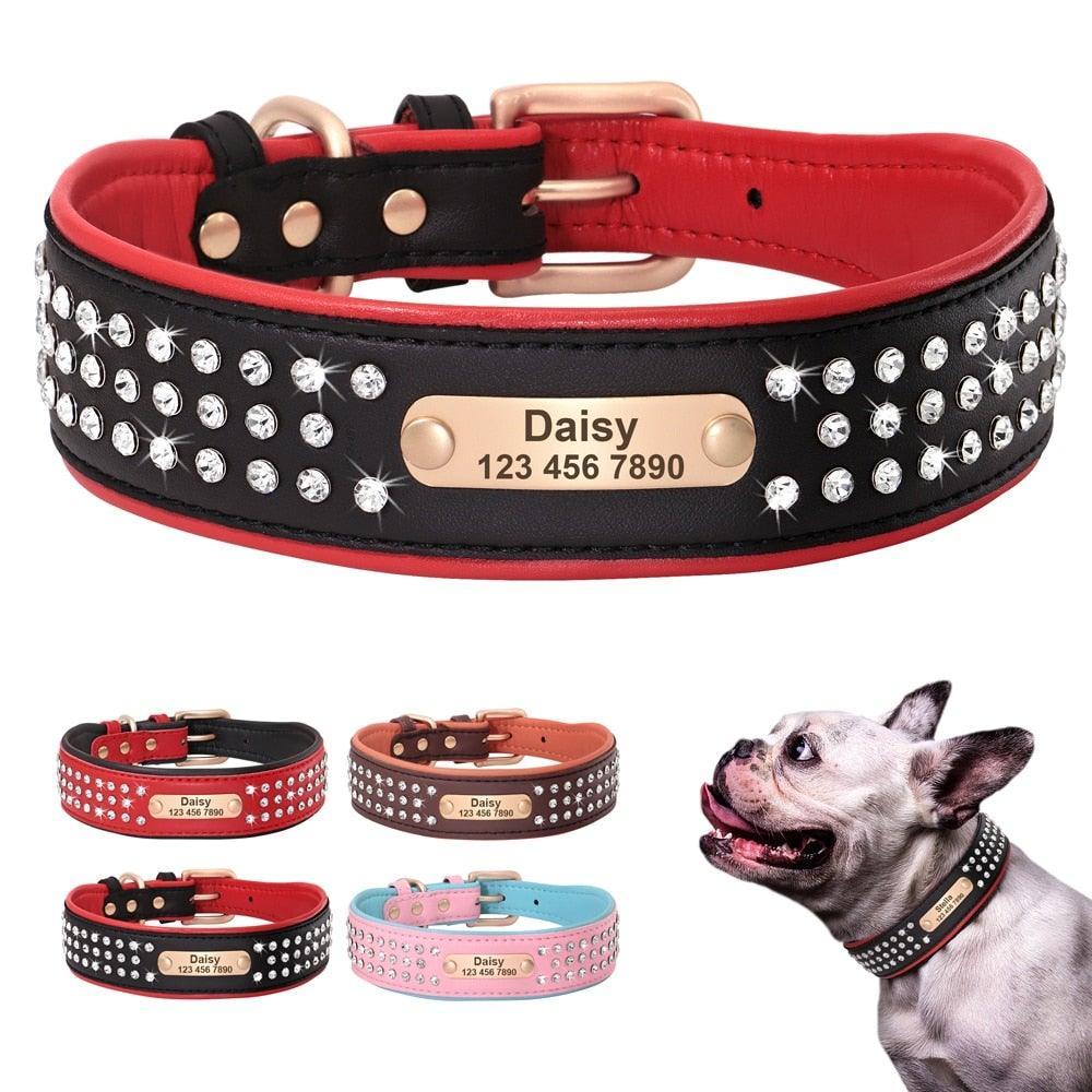 .FPT Concierge Service - Prepared for Strycen - Option 1 - 1: FancyPetTags.com