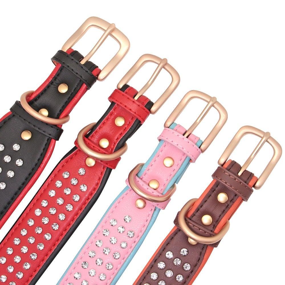 .FPT Concierge Service - Prepared for Strycen - Option 1 - 7: FancyPetTags.com