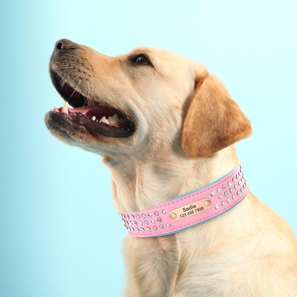 .FPT Concierge Service - Prepared for Strycen - Option 1 - 3: FancyPetTags.com
