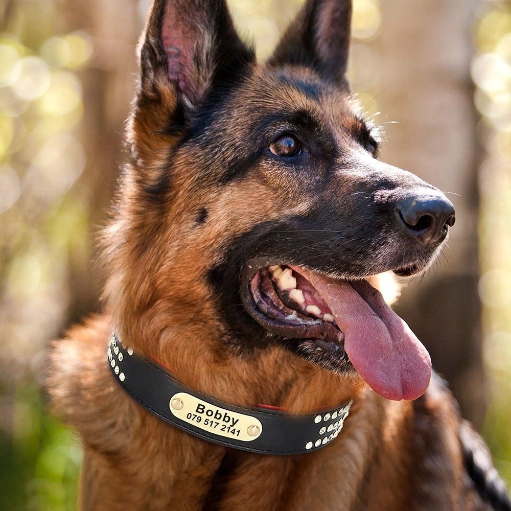 .FPT Concierge Service - Prepared for Strycen - Option 1 - 3: FancyPetTags.com