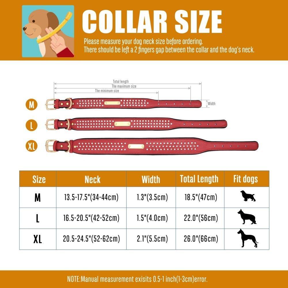 .FPT Concierge Service - Prepared for Strycen - Option 1 - 19: FancyPetTags.com